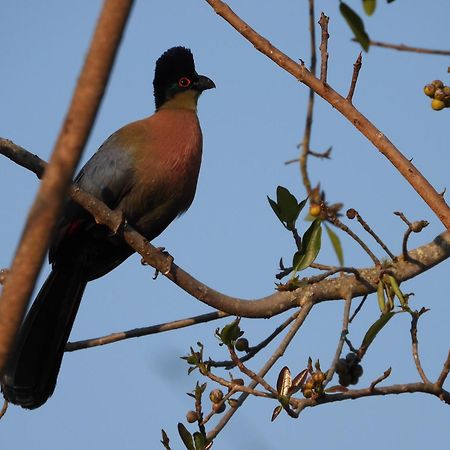 Dagama Dam - White River - Kestrel - House 21 المظهر الخارجي الصورة