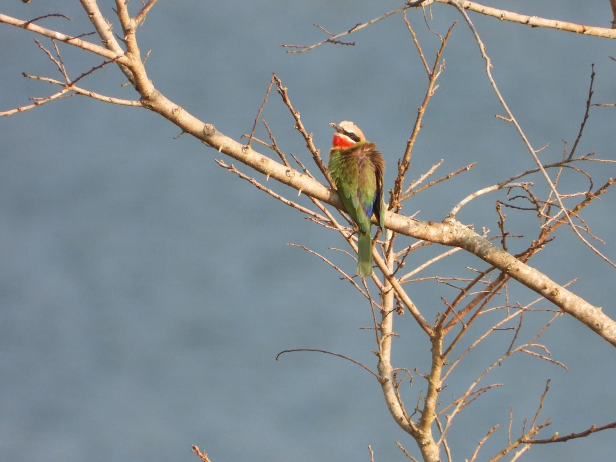 Dagama Dam - White River - Kestrel - House 21 المظهر الخارجي الصورة